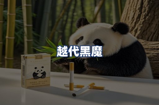 越代黑魔